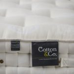 Cotton&co. 13