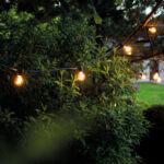 Festoon-lights-7873-Nowodvorski-Lighting