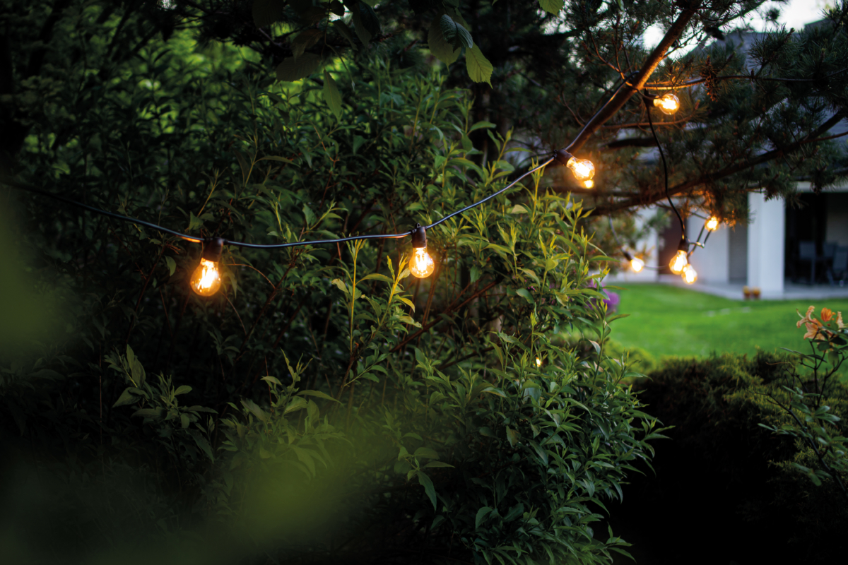 Festoon-lights-7873-Nowodvorski-Lighting Festoon-lights-7873-Nowodvorski-Lighting
