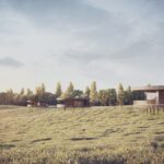 WIERZCHOWISKA_05
