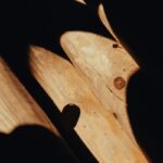 Brinova 8